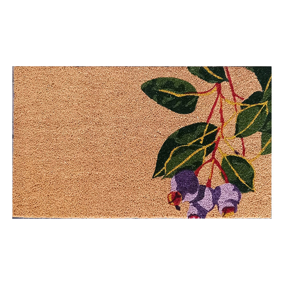 23-8483-solemate-latex-gum-nut-45x75cm-outdoor-doormat