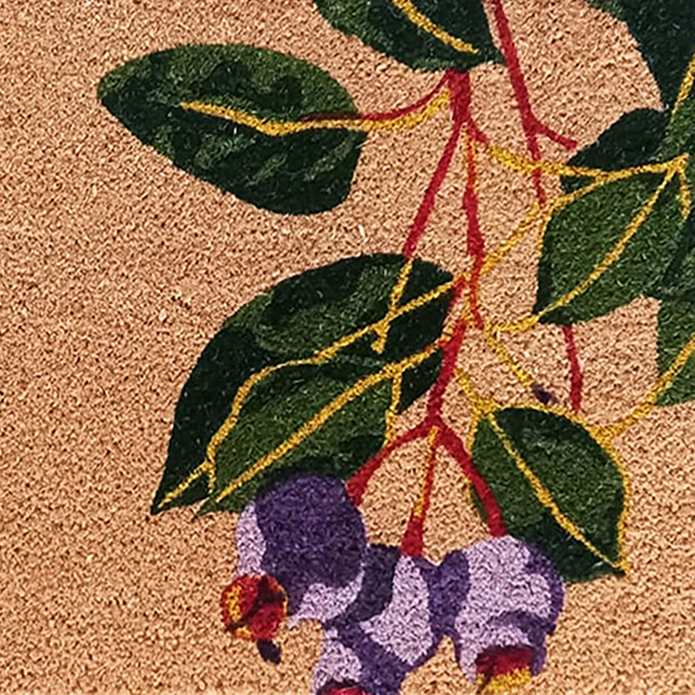 23-8483-solemate-latex-gum-nut-45x75cm-outdoor-doormat