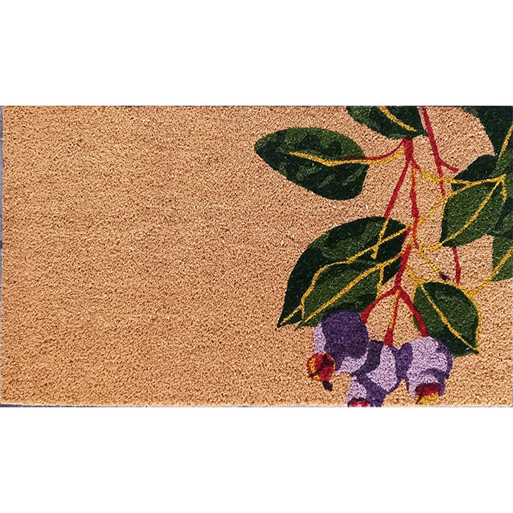 23-8483-solemate-latex-gum-nut-45x75cm-outdoor-doormat