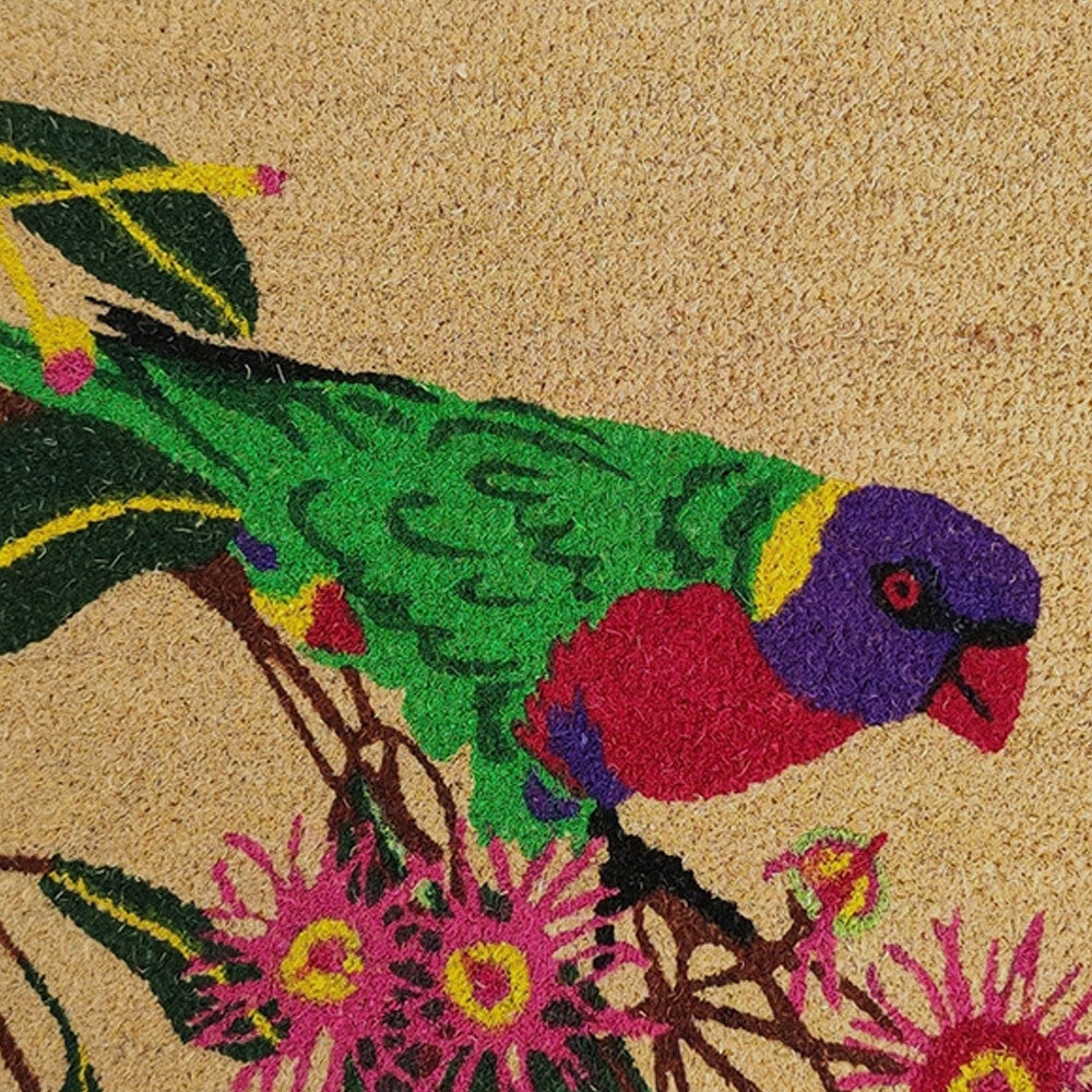 23-8487-solemate-latex-lorikeet-45x75cm-outdoor-doormat