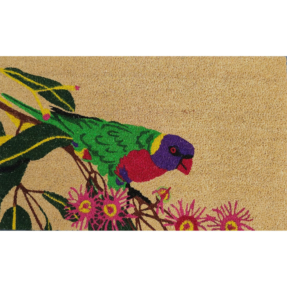 23-8487-solemate-latex-lorikeet-45x75cm-outdoor-doormat