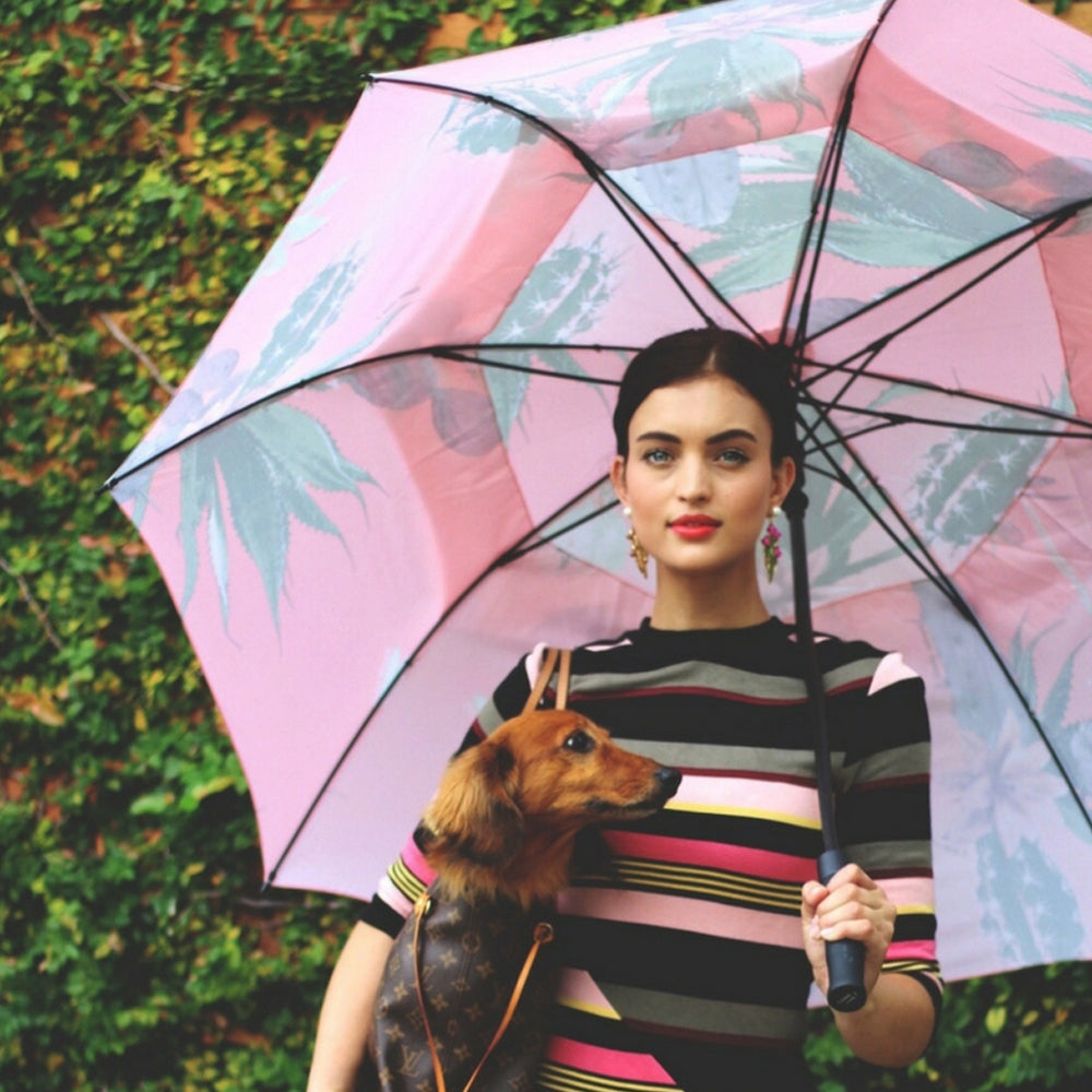 3037100vw-vienna-woods-rain-adventure-umbrella-kakteen