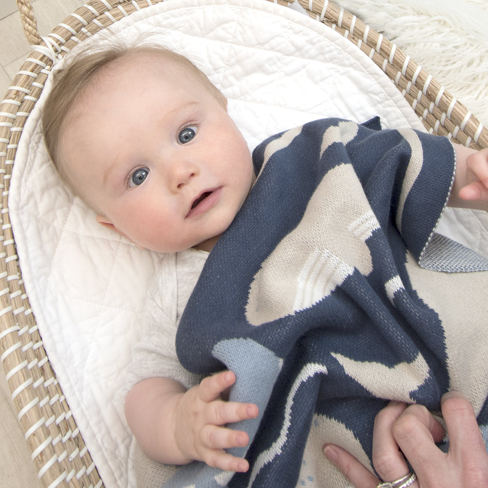 4322048-lolli-living-100-cotton-knit-pram-blanket-oceania-whales
