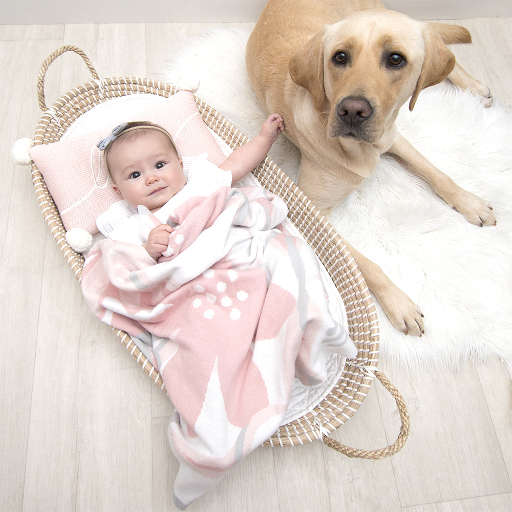 4322096-lolli-living-100-cotton-knit-pram-blanket-meadow