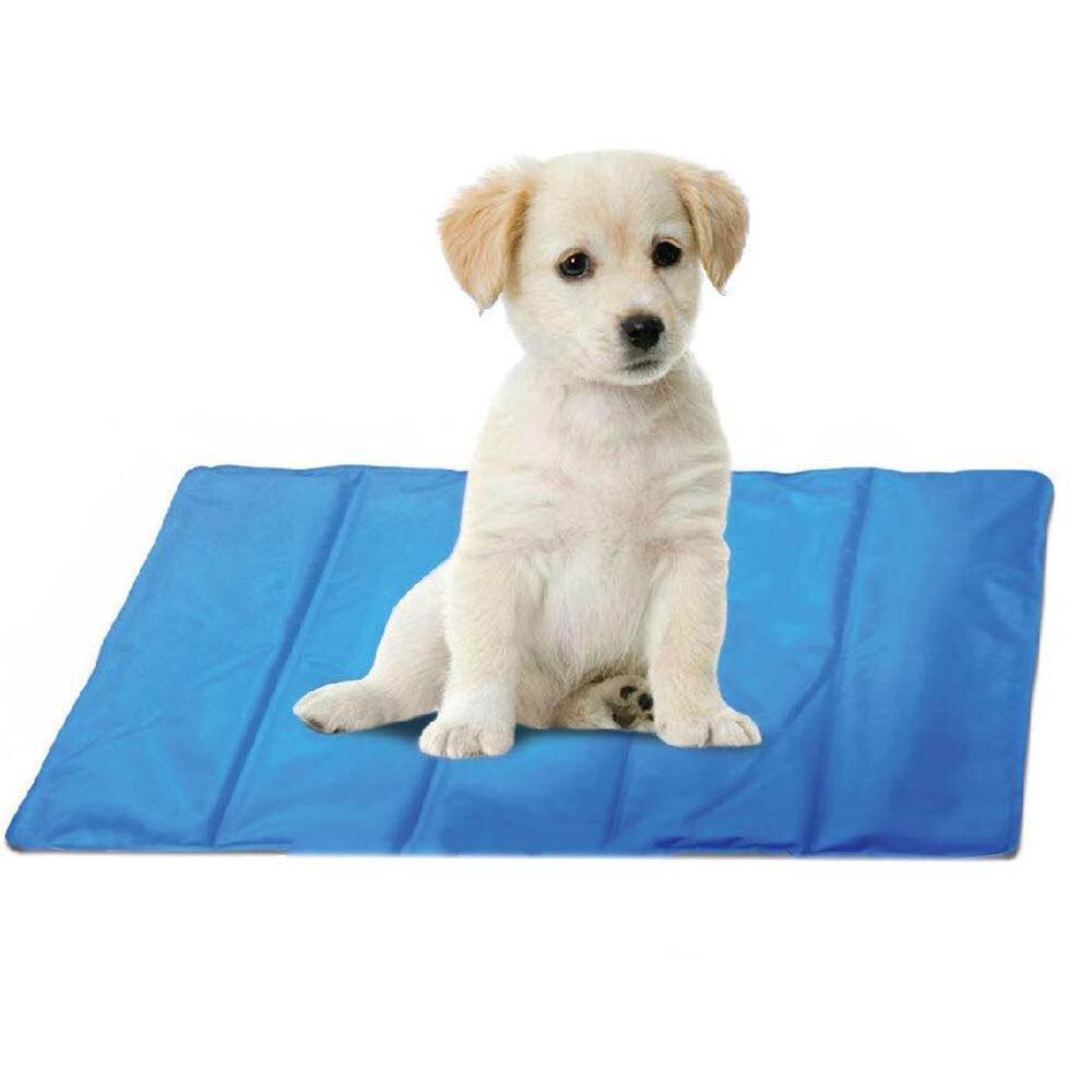 81049-spatastic-pet-cooling-mat-60-x-40cm-blue