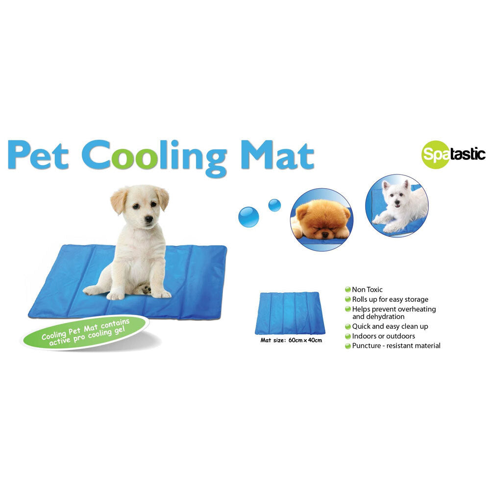 81049-spatastic-pet-cooling-mat-60-x-40cm-blue