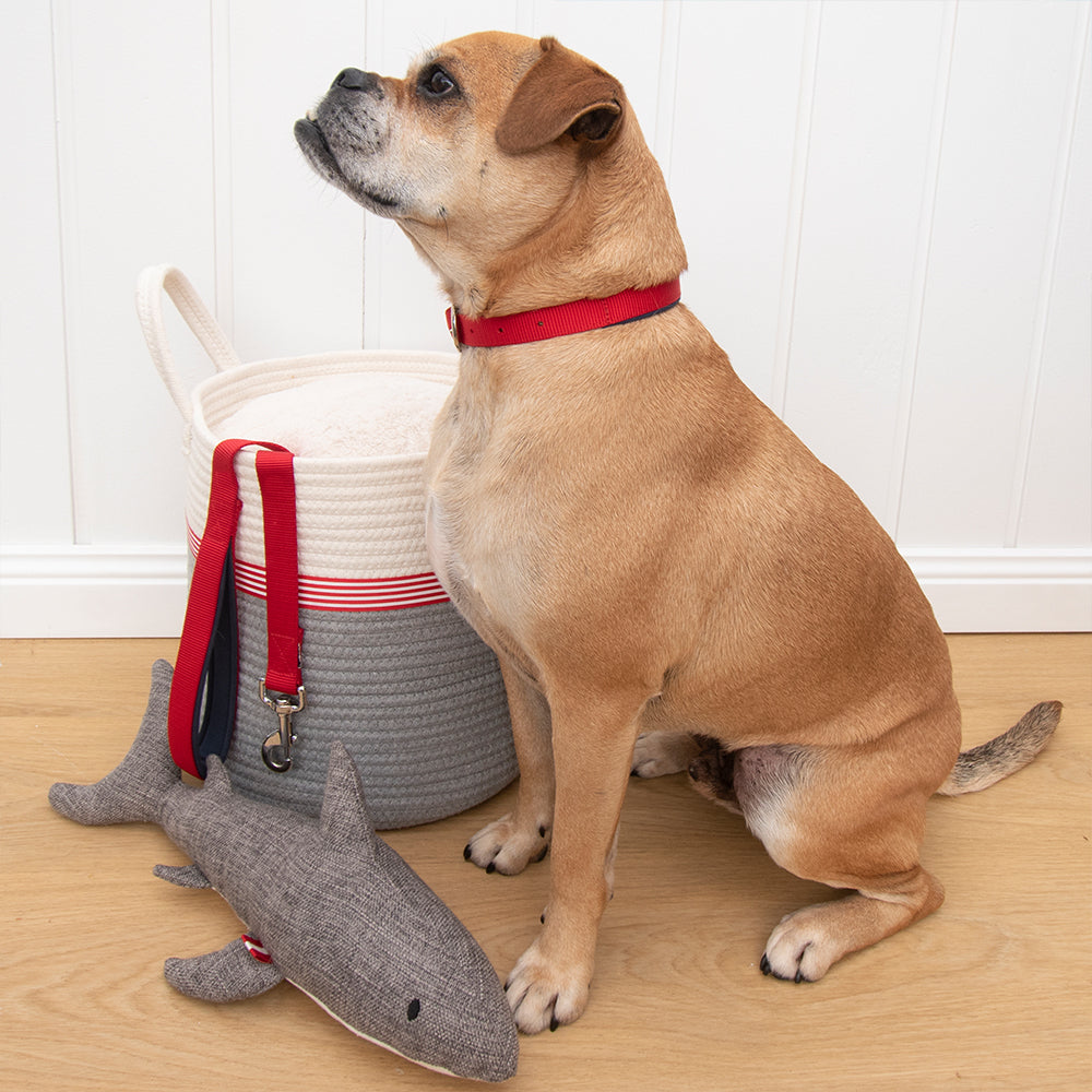 Louie Living Urban Pet/Dog/Cat Toy Sammie the Shark Plush