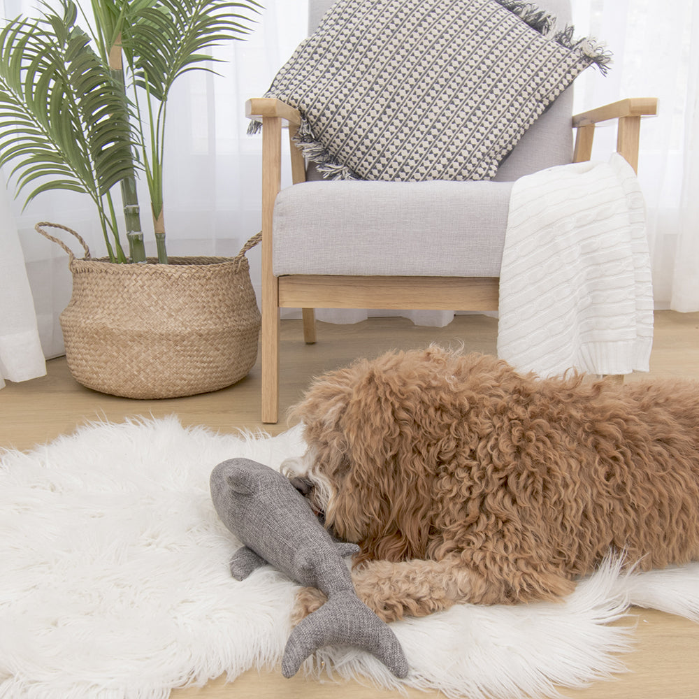 Louie Living Urban Pet/Dog/Cat Toy Sammie the Shark Plush