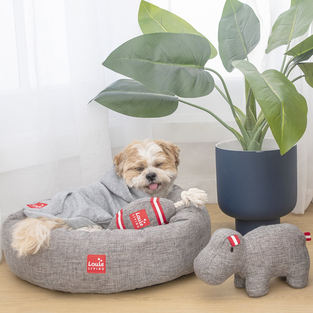 Louie Living Urban Pet/Dog/Cat Toy Football Plush
