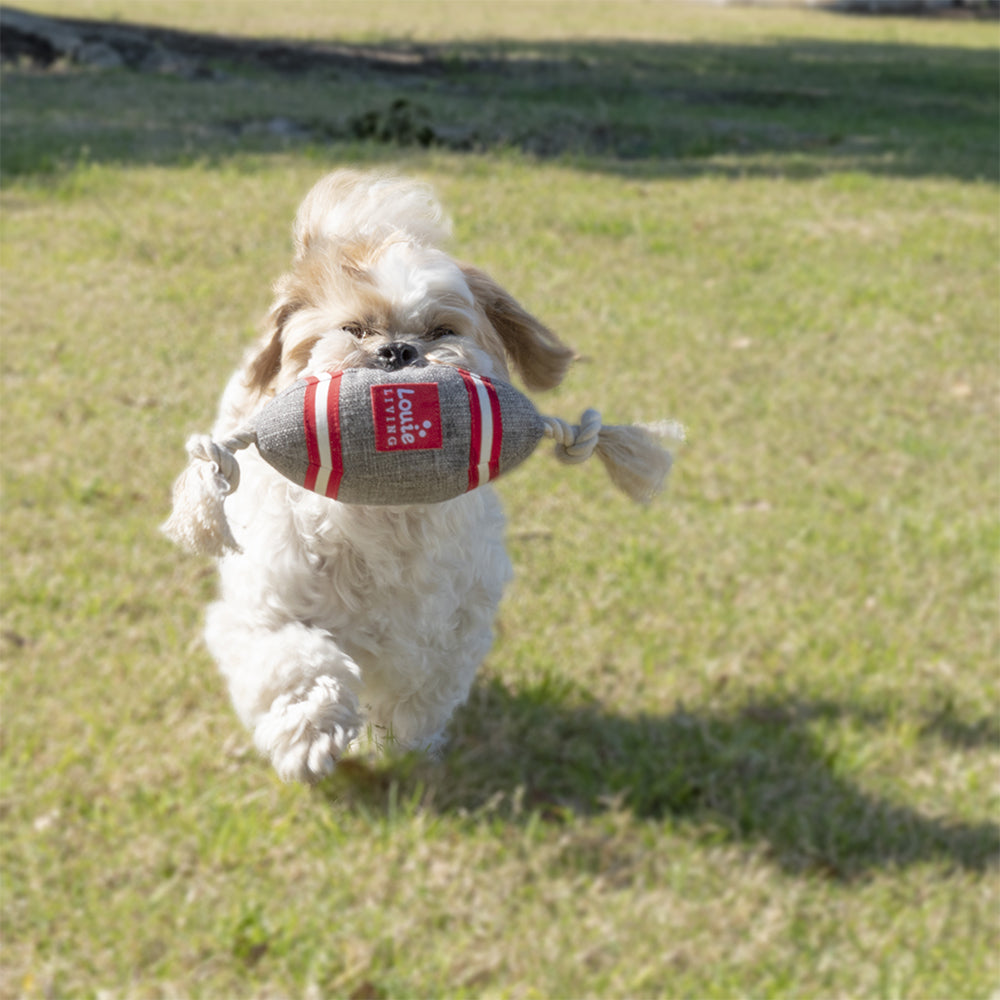 Louie Living Urban Pet/Dog/Cat Toy Football Plush