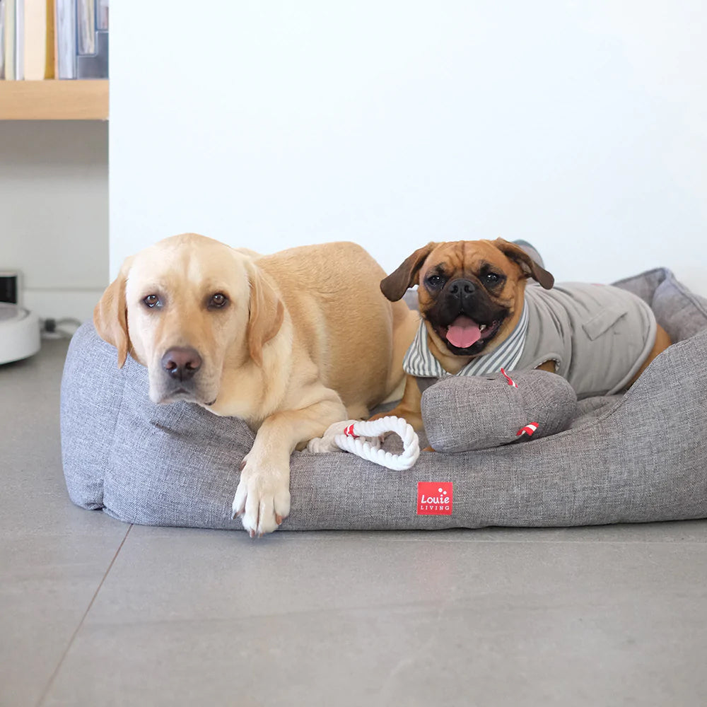 Louie Living Rectangle Pet/Dog Lounger Bed Small - Grey