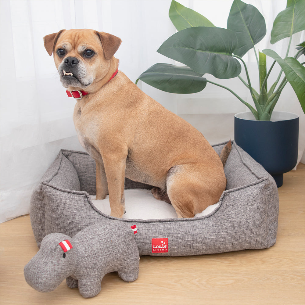 Louie Living Rectangle Pet/Dog Lounger Bed Small - Grey