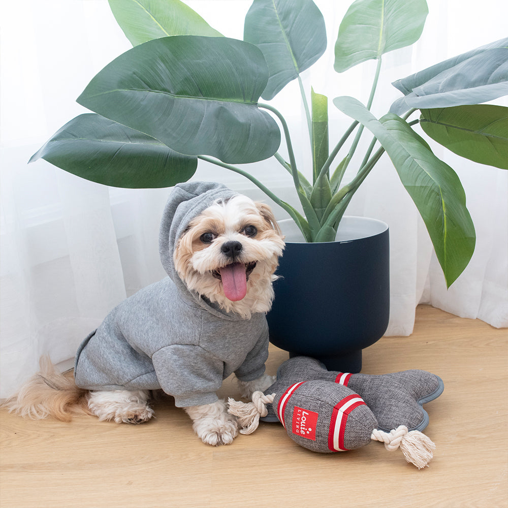 Louie Living Pet/Dog Warm Jumper/Hoodie Small Grey