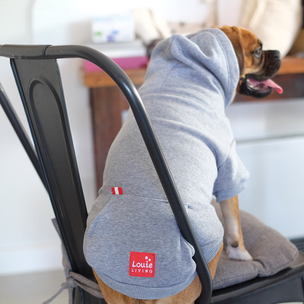 Louie Living Pet/Dog Warm Jumper/Hoodie Small Grey