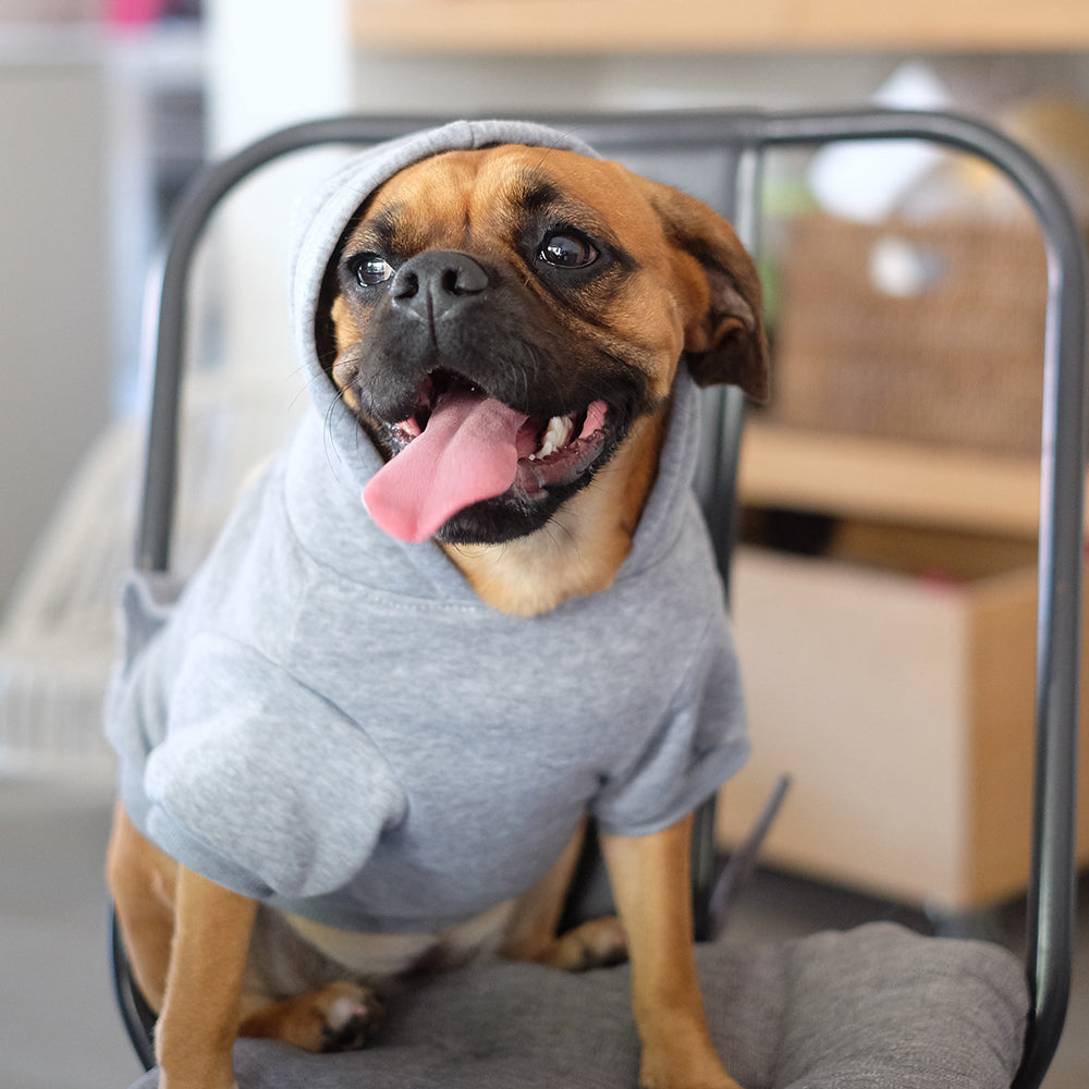 Louie Living Pet/Dog Warm Jumper/Hoodie Small Grey