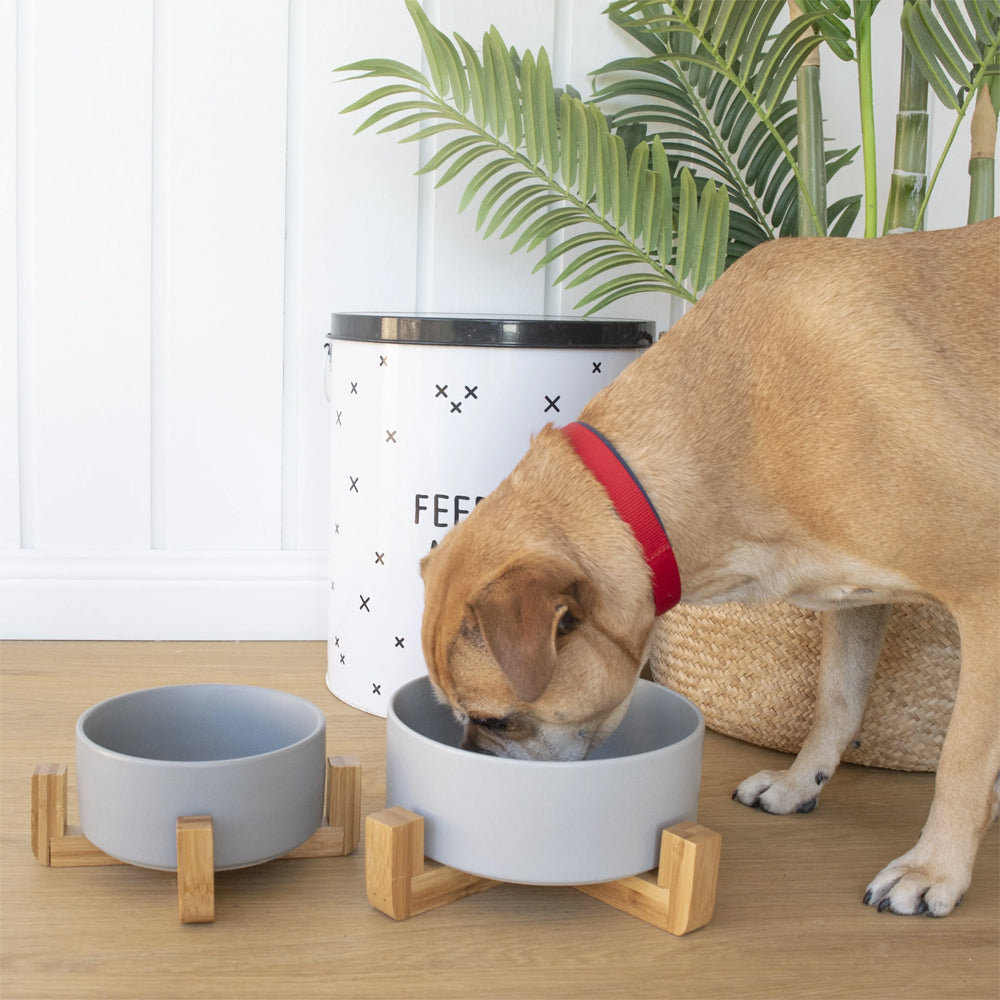 Louie Living 15.8x7cm Ceramic Dog/Pet Bowl w/ Bamboo Stand Medium Grey