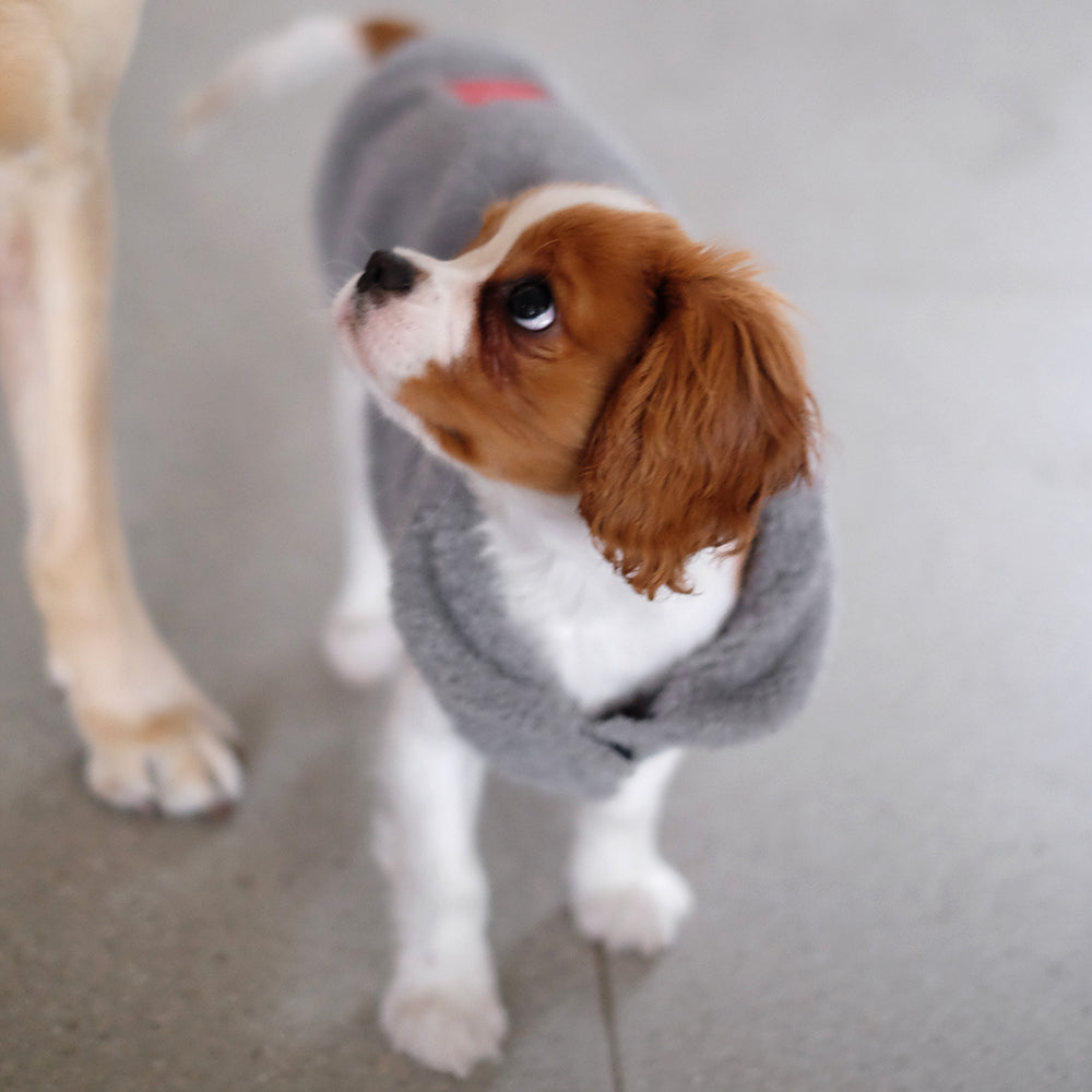 Louie Living Warm Fleece Dog/Pet Vest Medium Grey