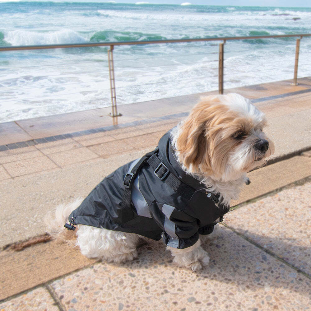 Louie Living Adjustable Pet/Dog Raincoat Medium Black