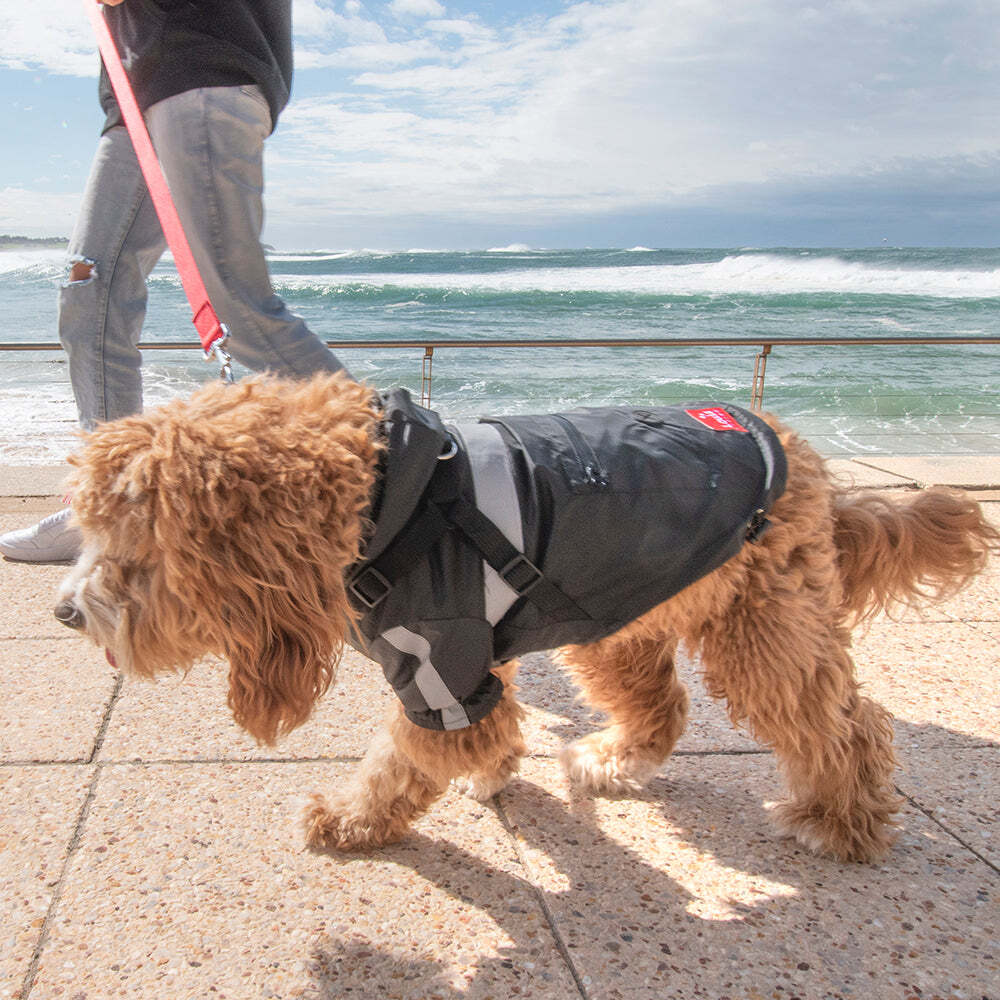 Louie Living Adjustable Pet/Dog Raincoat Medium Black
