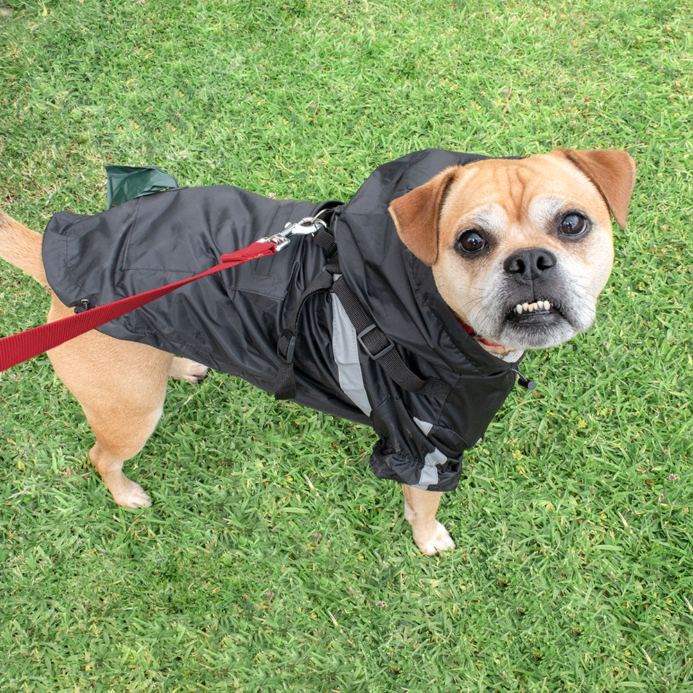 Louie Living Adjustable Pet/Dog Raincoat Medium Black