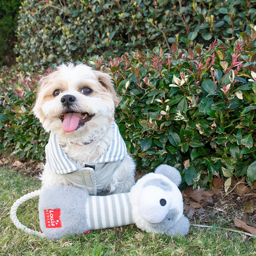 Louie Living Dog/Pet Reversible Light Sweater XL Light Grey