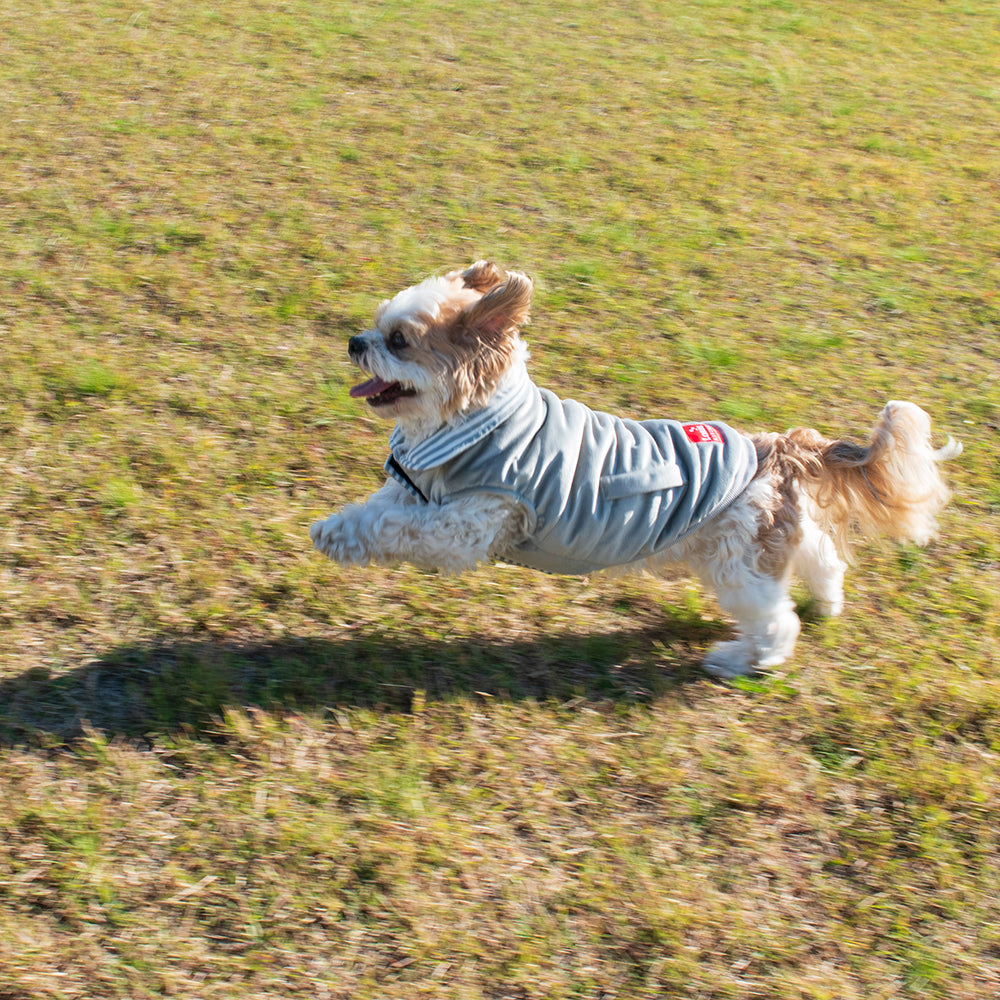 Louie Living Dog/Pet Reversible Light Sweater XL Light Grey