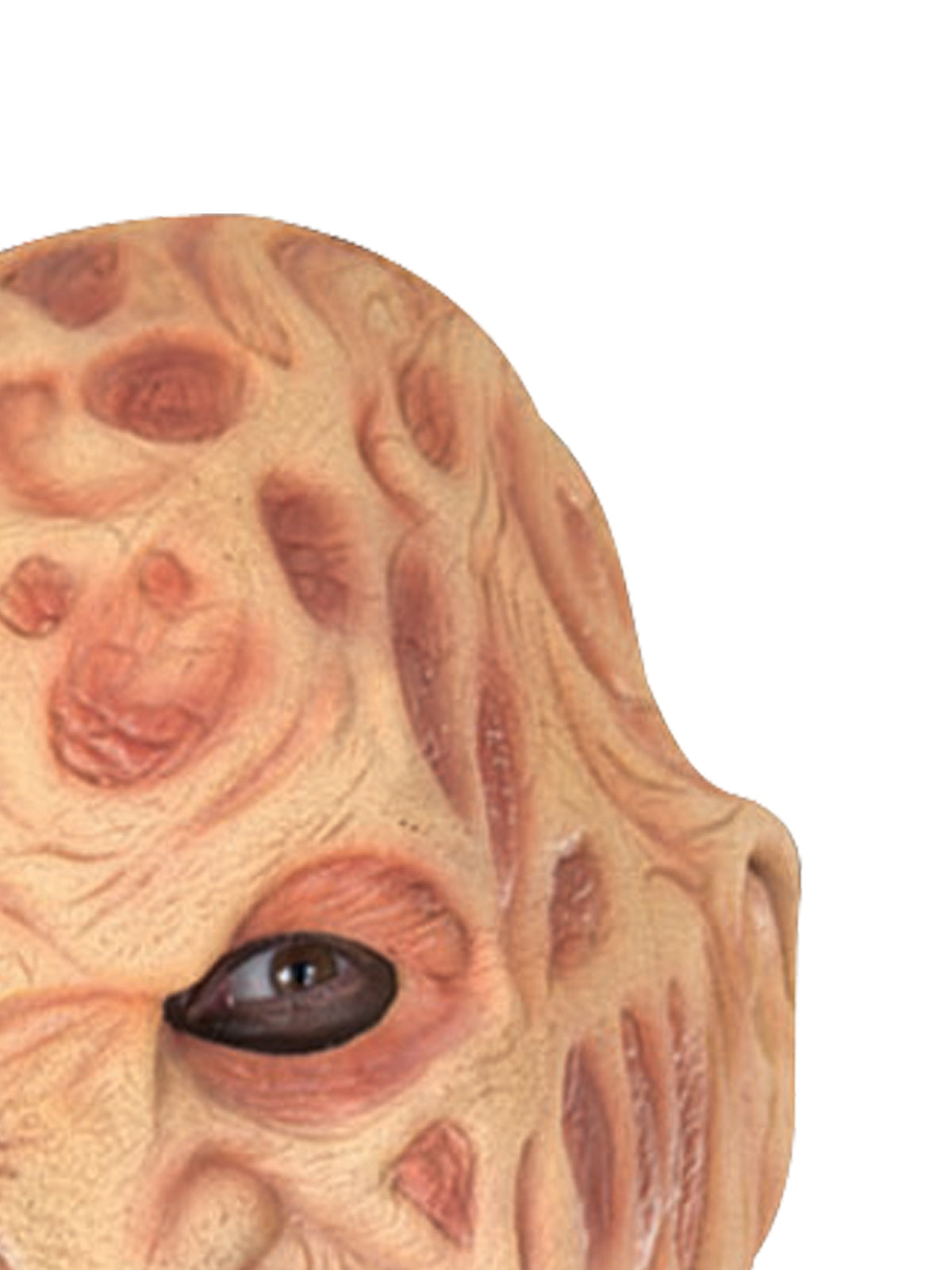 1073-nightmare-on-elm-street-freddy-deluxe-prosthetic-teeth-adult-costume