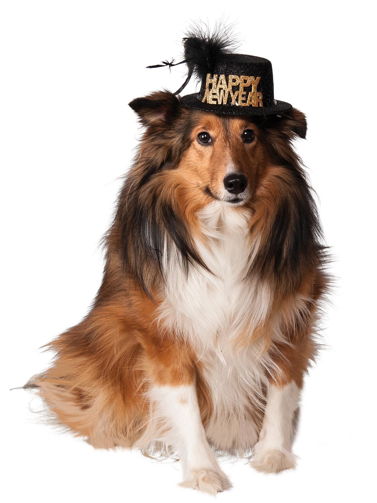 580166sm-rubies-happy-new-year-party-pet-hat-dog-cat-size-s-m