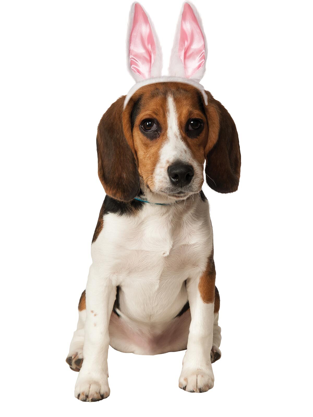 580181ml-rubies-bunny-ears-pet-accessory-dog-cat-size-m-l