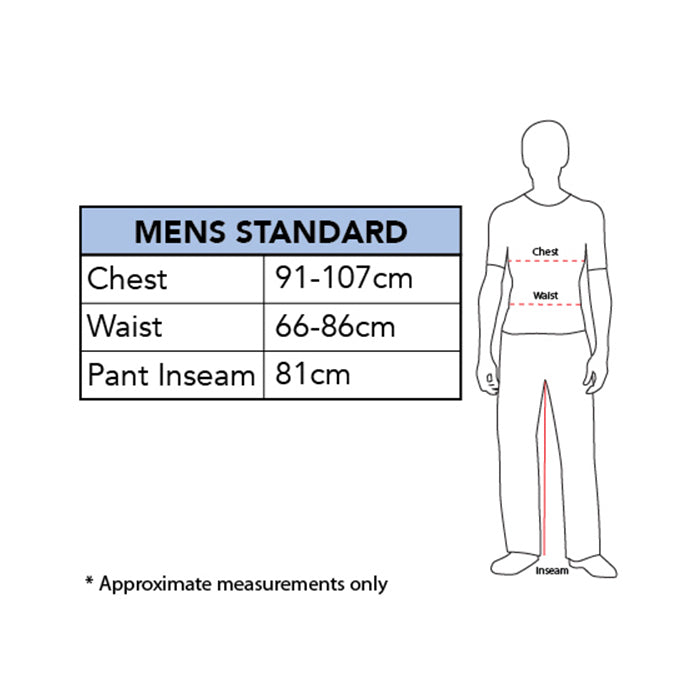 880866std-rubies-dipsy-teletubbies-deluxe-dress-up-adults-costume-size-std