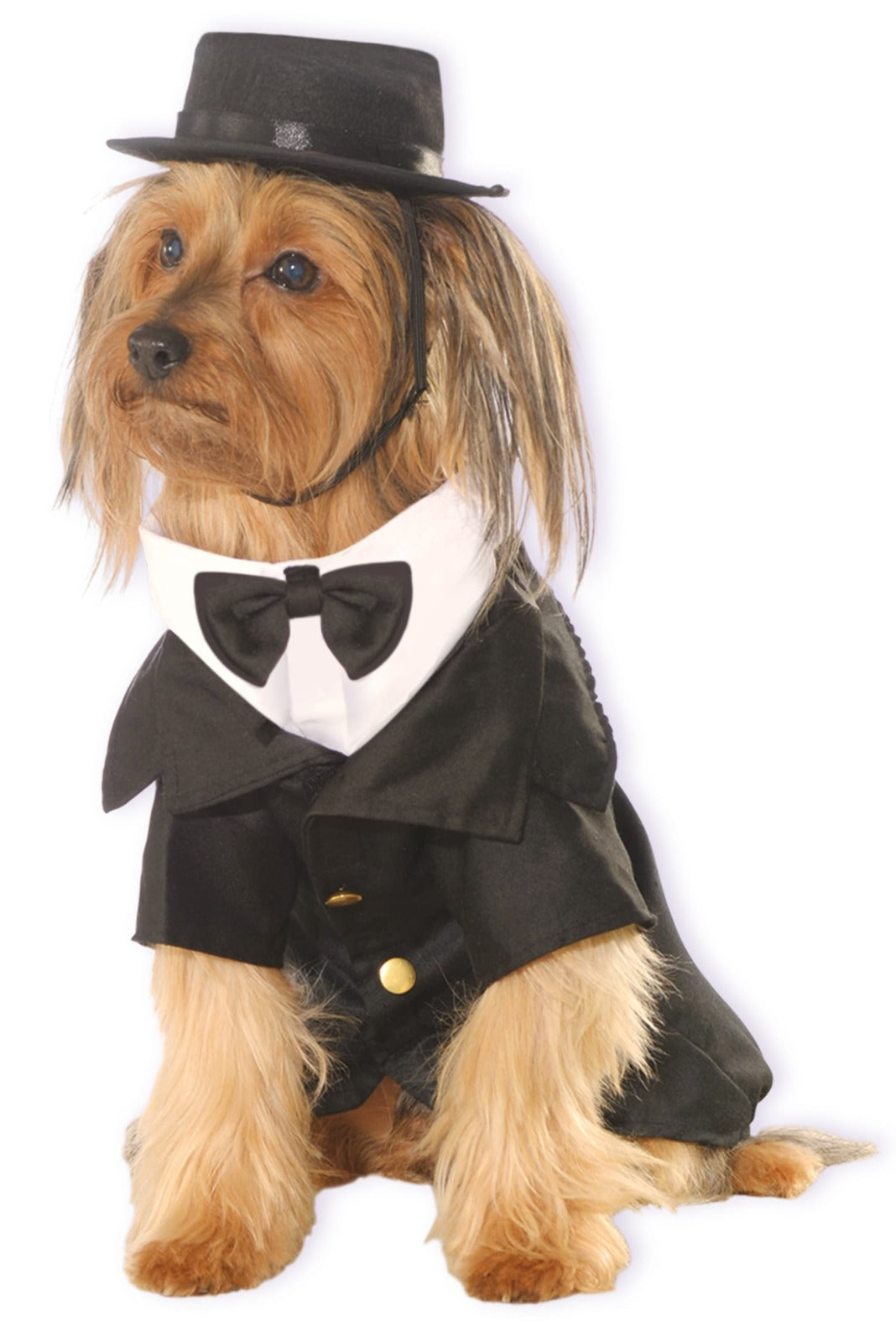 885933s-marvel-dapper-pet-dress-up-costume-for-dogs-size-s