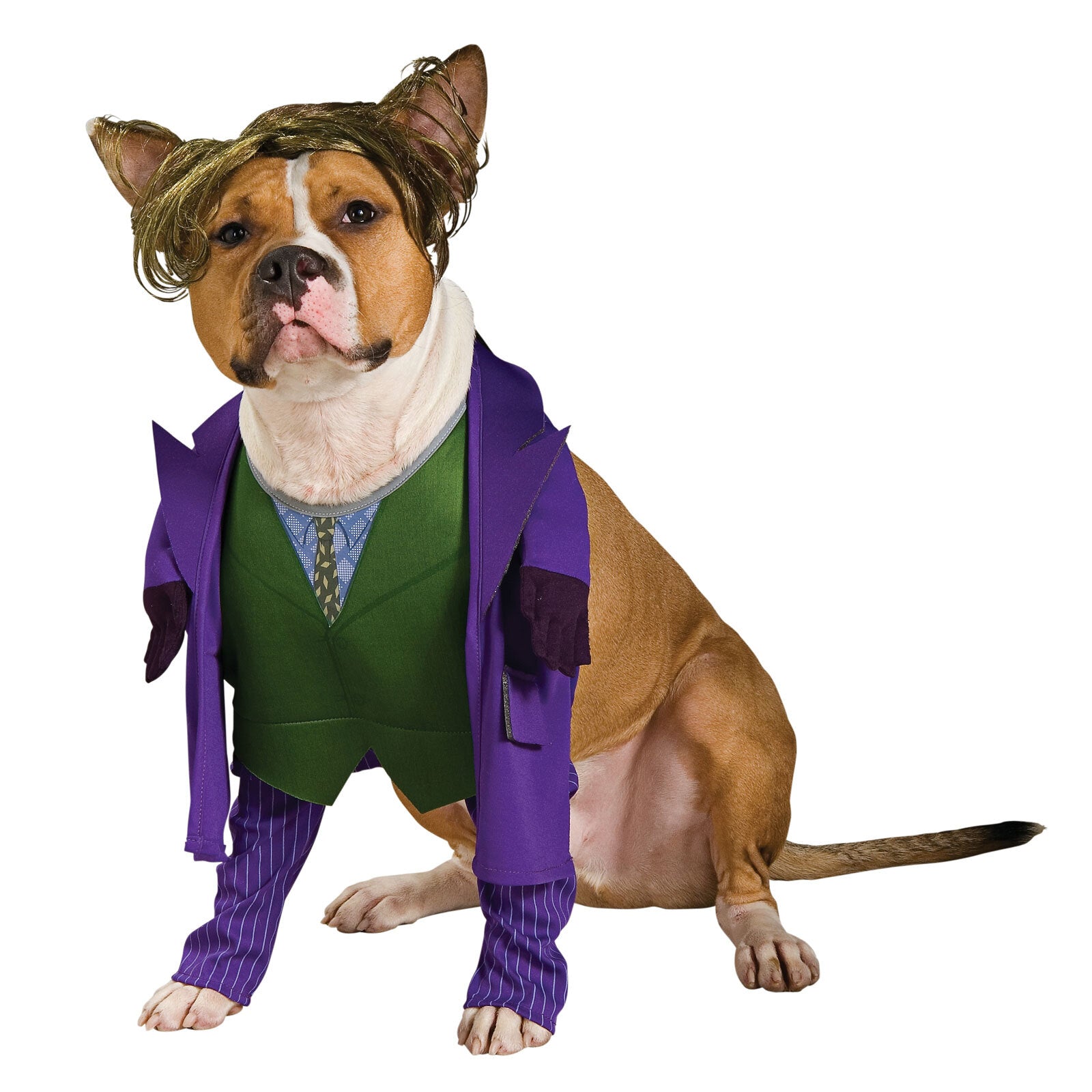 885953xl-dc-comics-the-joker-pet-dress-up-costume-for-dogs-size-xl