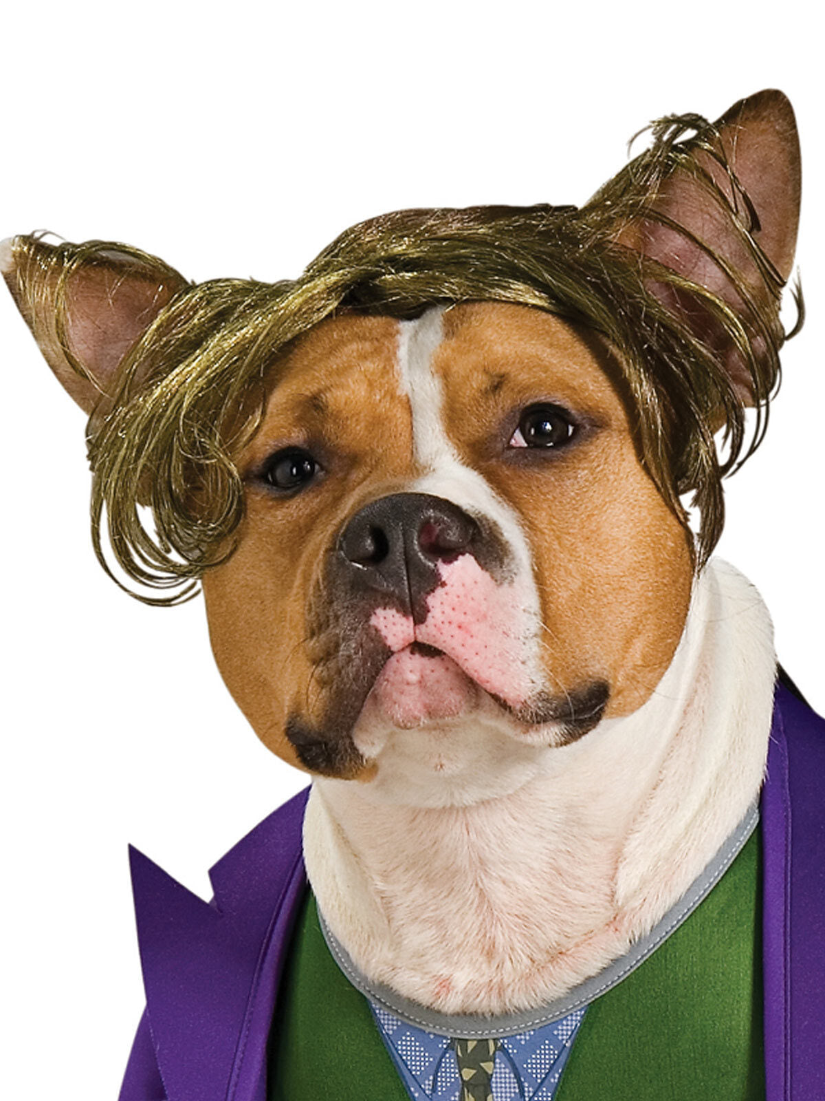 885953xl-dc-comics-the-joker-pet-dress-up-costume-for-dogs-size-xl
