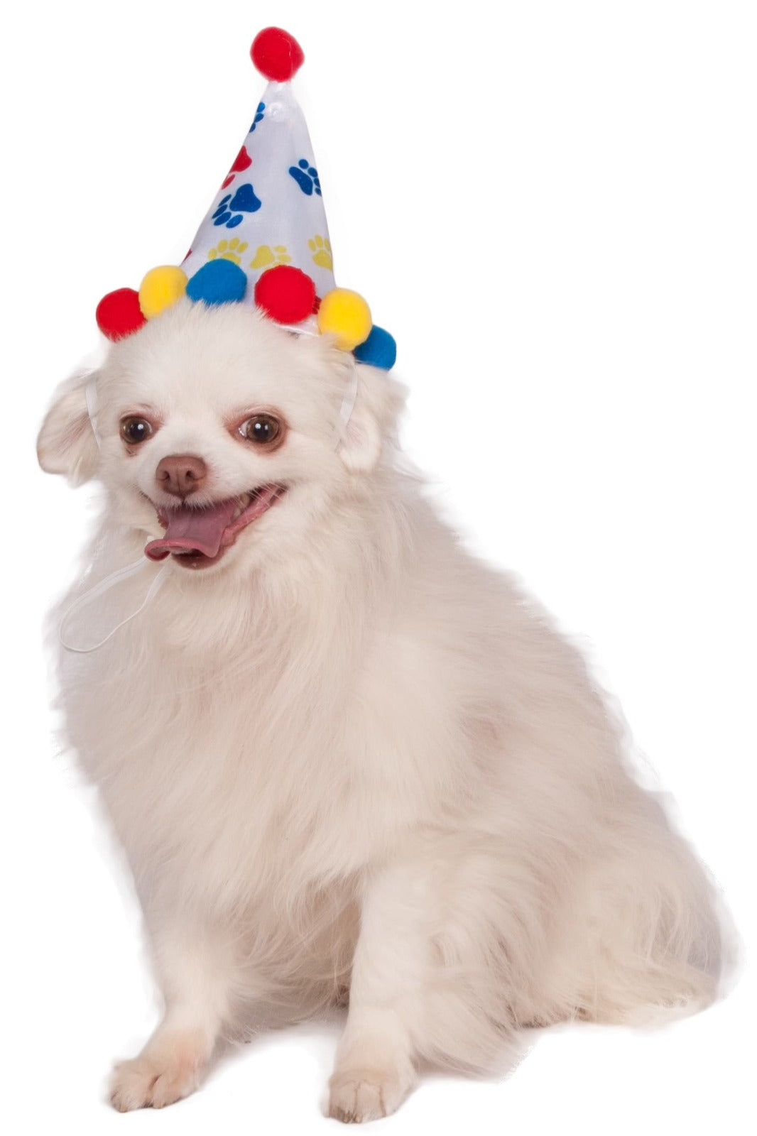 886531ml-rubies-paw-print-boy-pet-birthday-hat-dog-costume-size-m-l