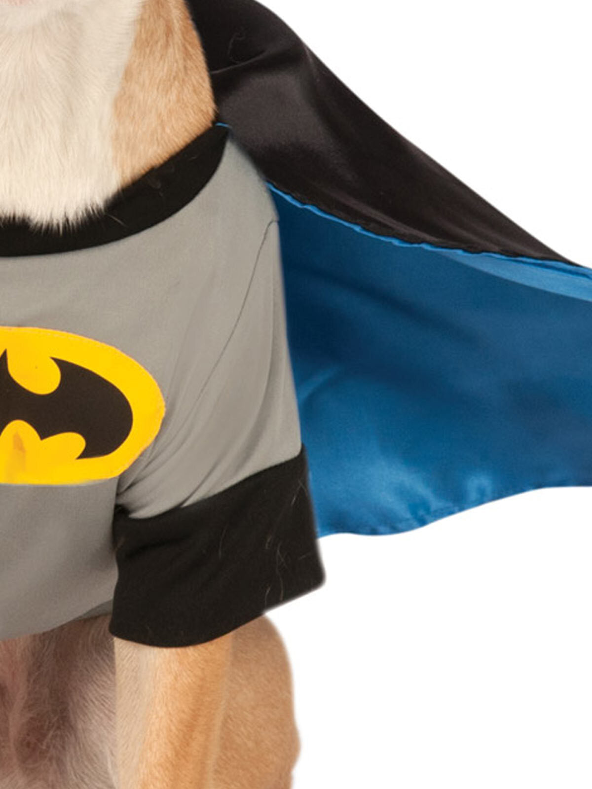 887835s-dc-comics-batman-deluxe-pet-dress-up-costume-size-s-for-dogs