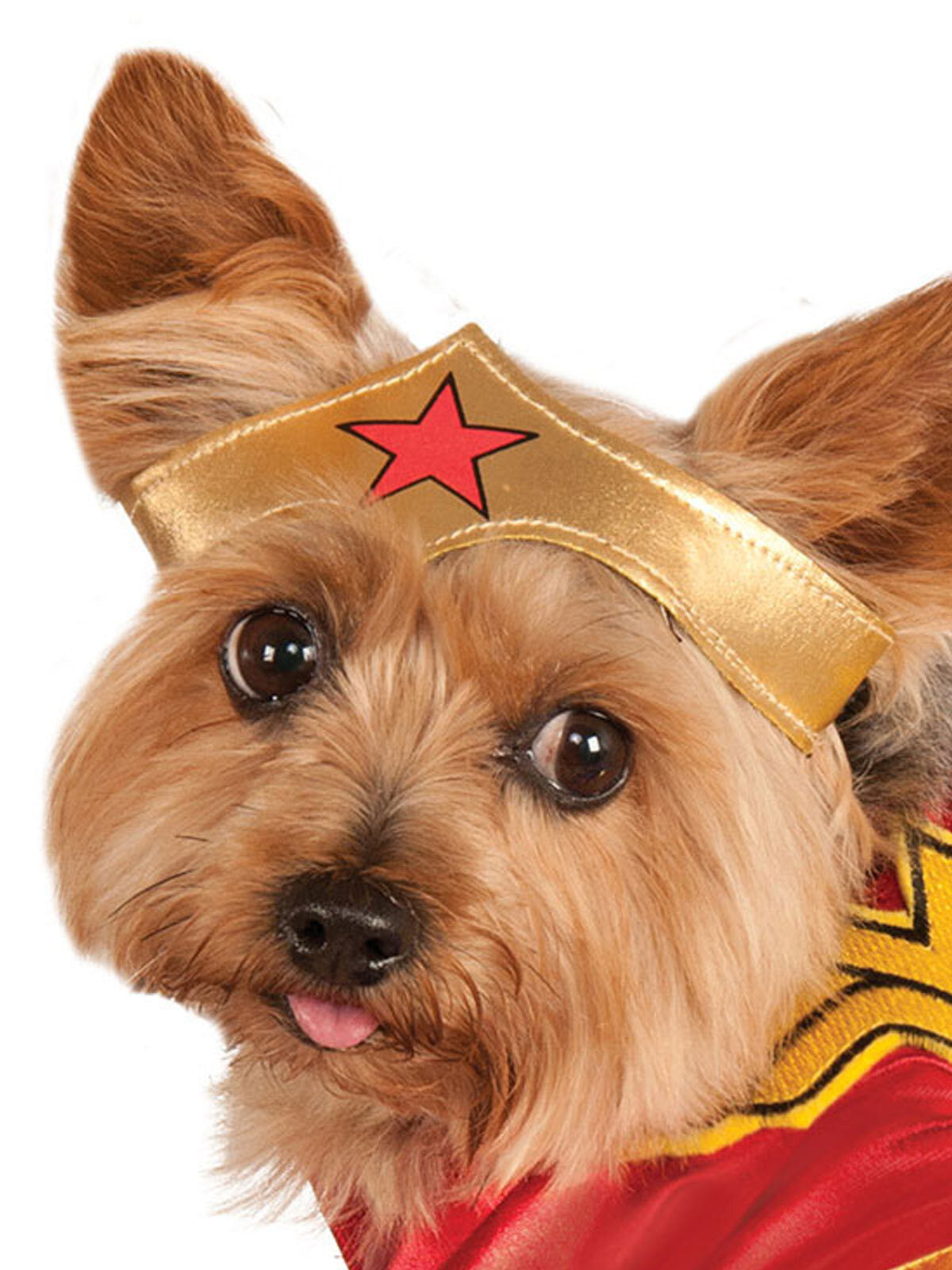 887842xl-dc-comics-superhero-wonder-woman-pet-dogs-costume-size-xl