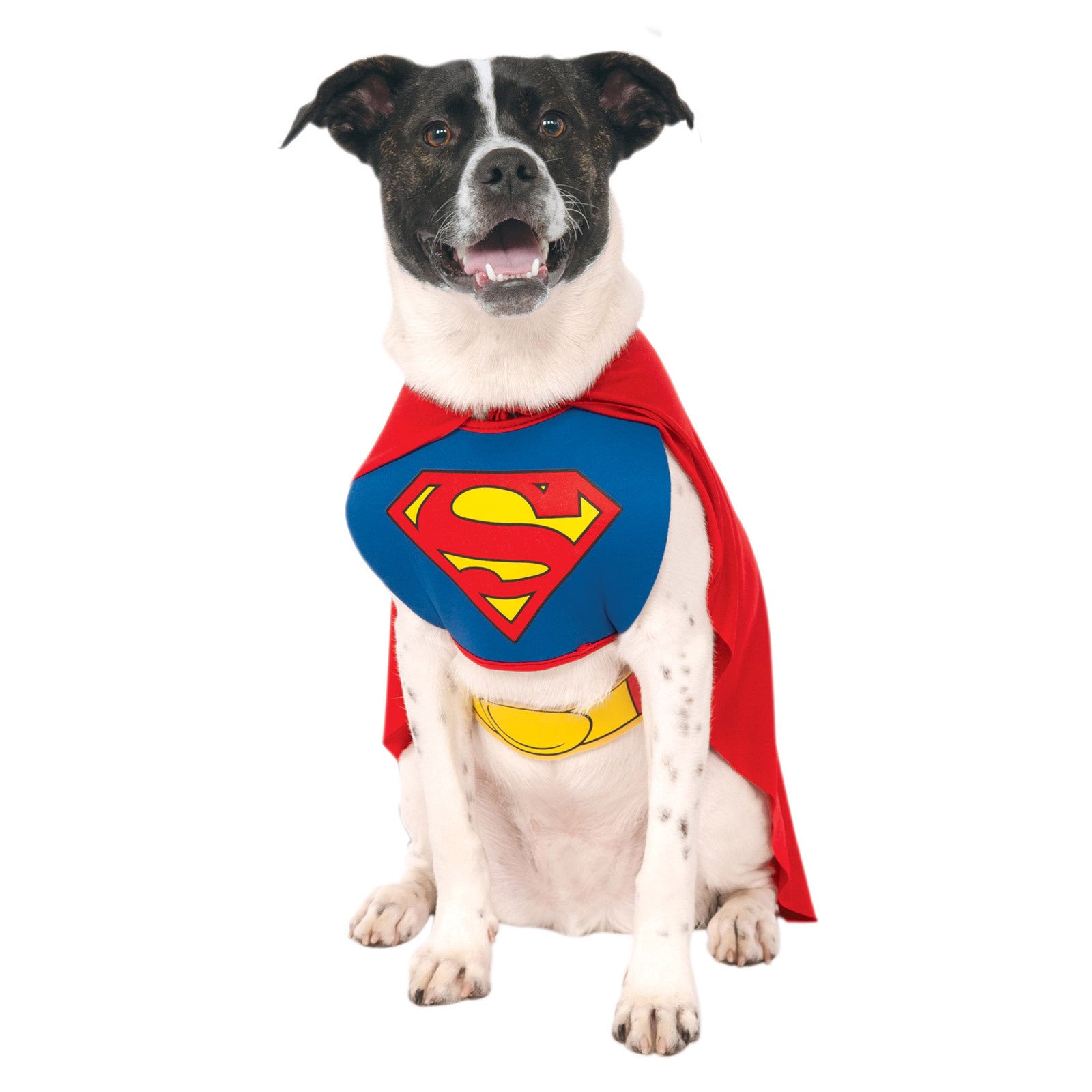 887892m-dc-comics-superman-classic-pet-pet-dress-up-costume-size-m