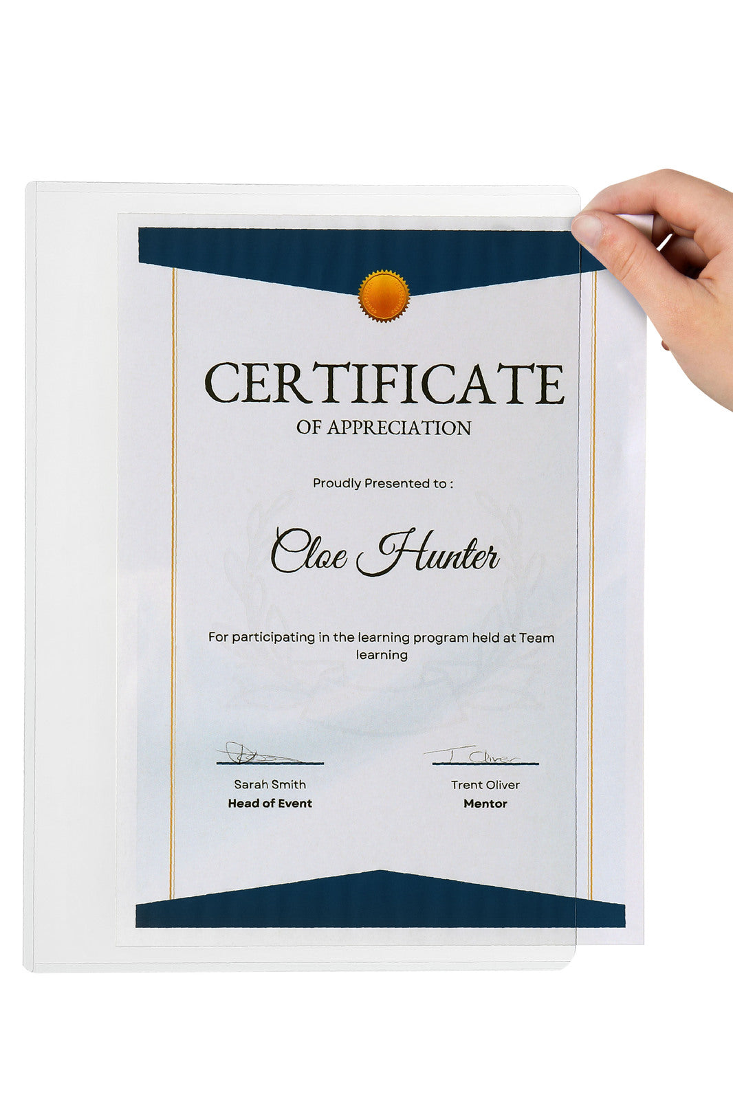 90075-marbig-pvc-a4-file-certificate-document-protector-clear