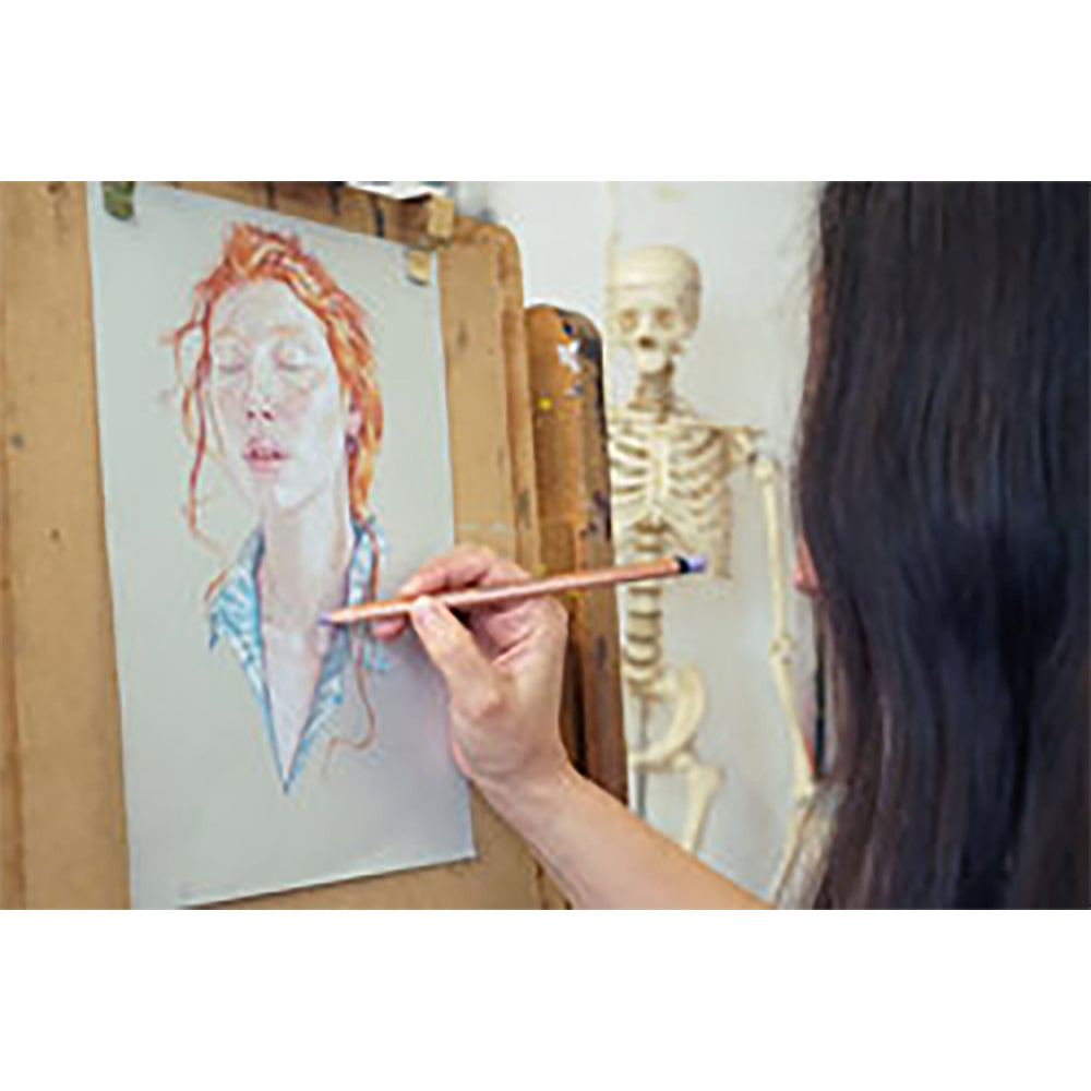2302719-12pk-derwent-lightfast-drawing-colouring-oil-based-coloured-pencil-w-tin