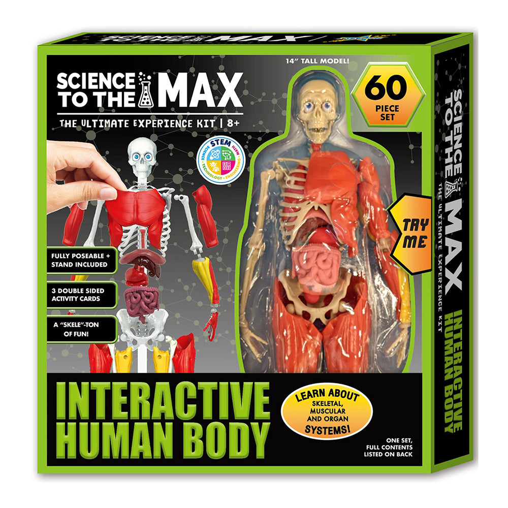 813268016047-60pc-be-amazing-toys-science-to-the-max-interactive-human-body-kit-kids-8