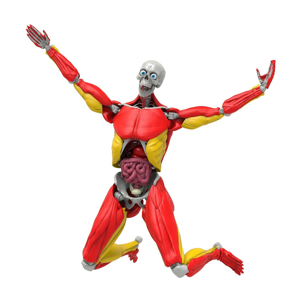 813268016047-60pc-be-amazing-toys-science-to-the-max-interactive-human-body-kit-kids-8