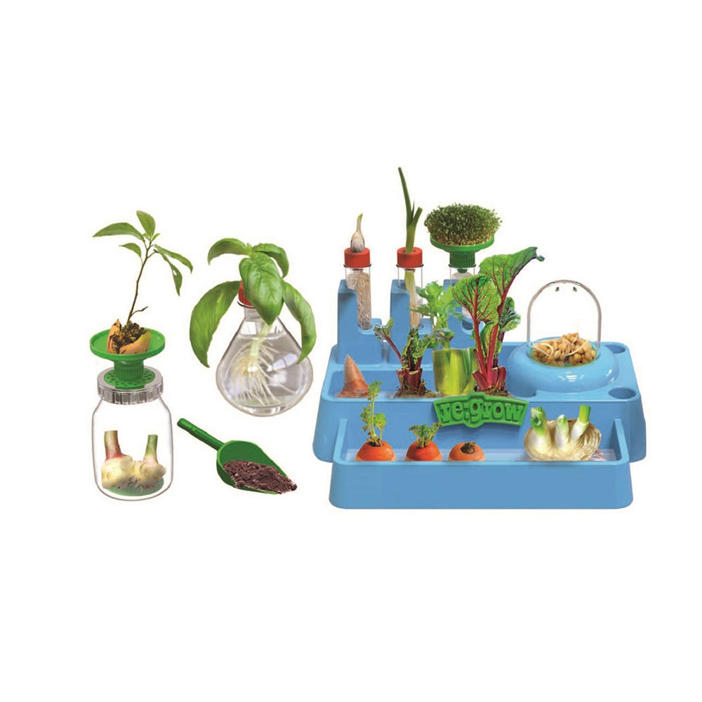 813268017051-24pc-be-amazing-toys-science-to-the-max-regrow-lab-plant-tray-set-kids-8