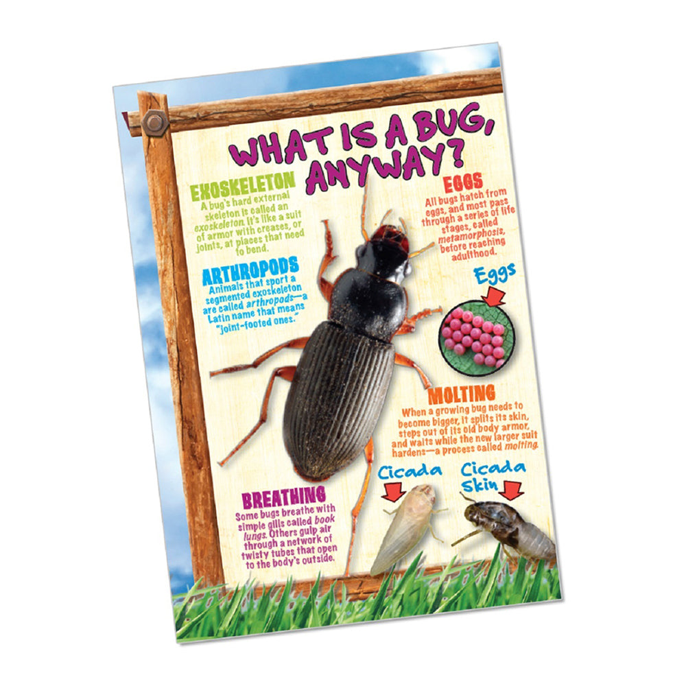 834509000878-18pc-smart-lab-toys-bug-playground-insect-inspector-toy-set-kids-7