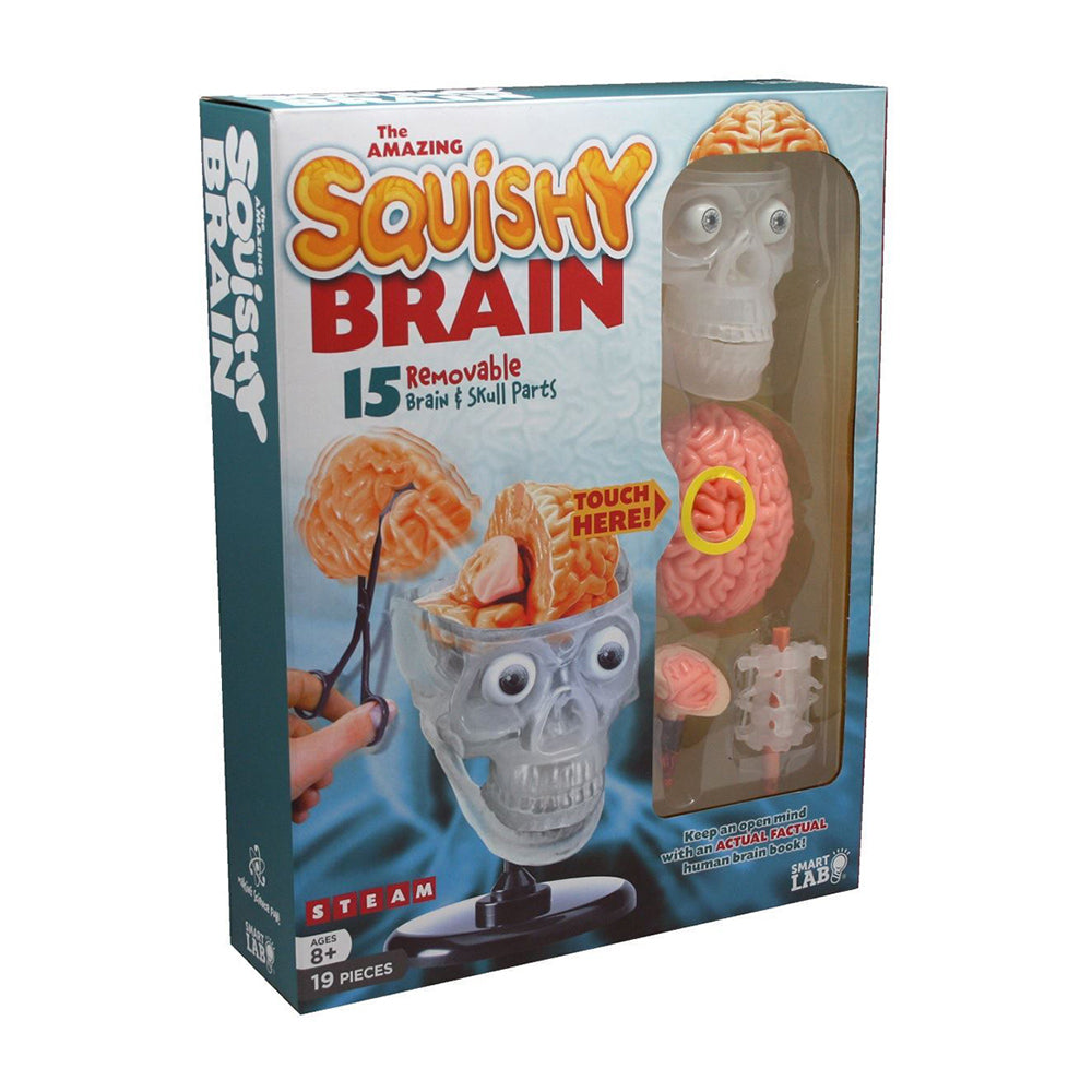 834509001028-19pc-smart-lab-toys-the-amazing-squishy-human-brain-skull-toy-kids-8