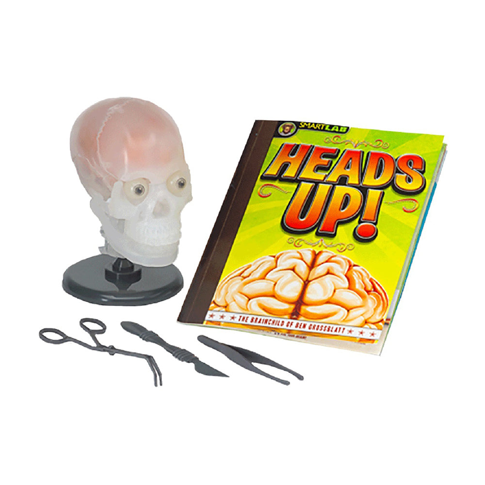 834509001028-19pc-smart-lab-toys-the-amazing-squishy-human-brain-skull-toy-kids-8