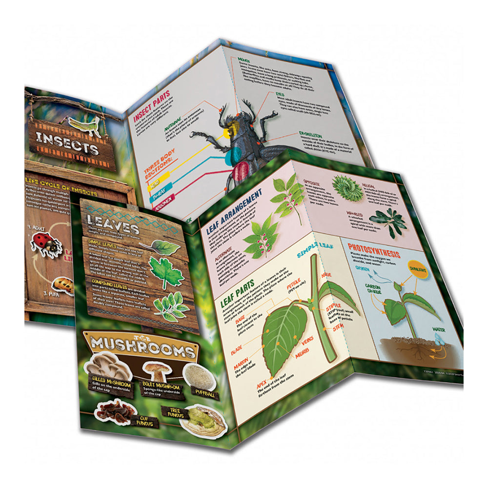 834509006511-17pc-smart-lab-toys-outdoor-science-experiment-toy-set-kids-8