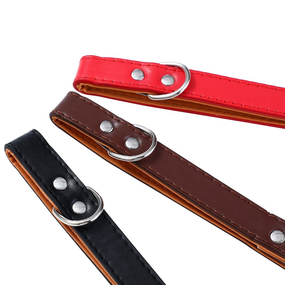 Paws & Claws Premium Original Dog/Pet 36-45x2cm Collar Padded M - Assorted