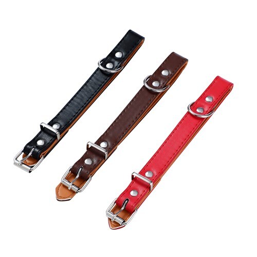 Paws & Claws Premium Original Dog/Pet 36-45x2cm Collar Padded M - Assorted