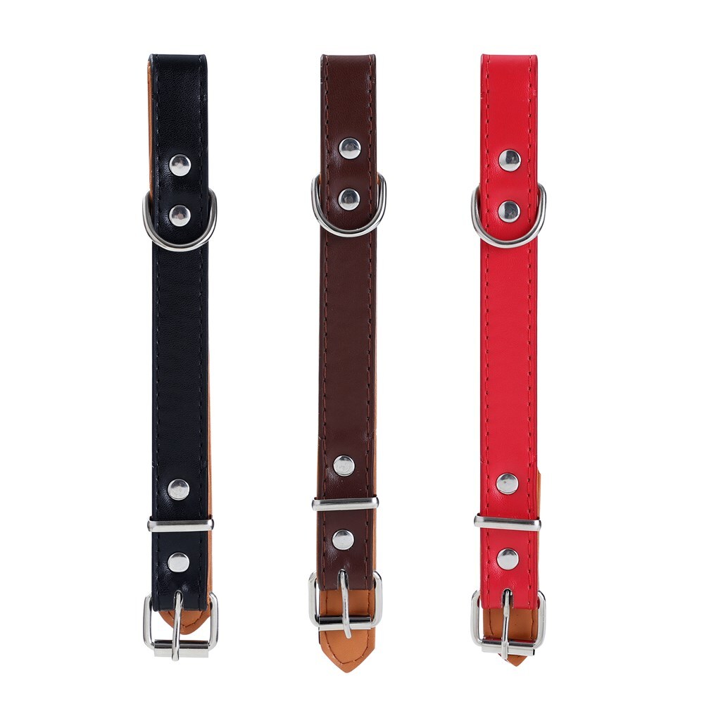 Paws & Claws Premium Original Dog/Pet 36-45x2cm Collar Padded M - Assorted