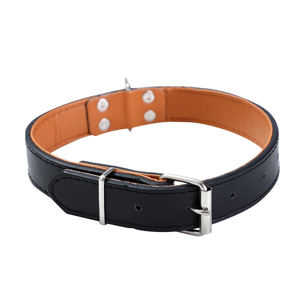 Paws & Claws Premium Original Dog/Pet 44-55x2.5cm Collar Padded L - Assort